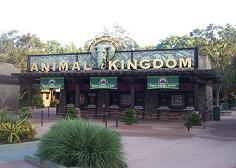 Disney's Animal Kingdom