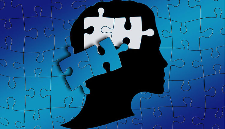 Autism Puzzle Brain