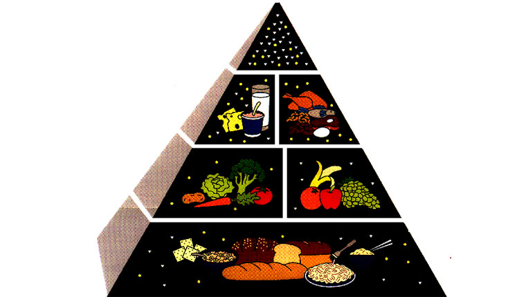 Food Pyramid