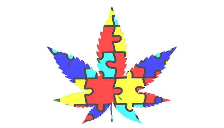 Marijuana for Autism